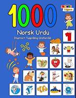 1000 Norsk Urdu Illustrert Tospråklig Ordforråd (Fargerik Utgave)