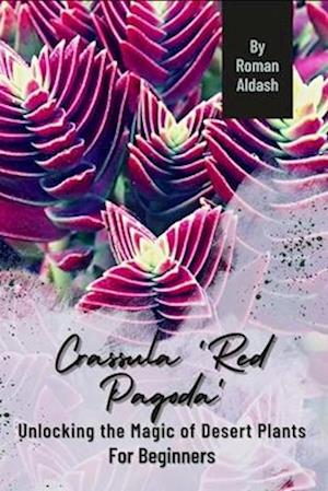 Crassula 'Red Pagoda'