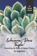 Echeveria 'Doris Taylor': Unlocking the Magic of Desert Plants, For Beginners 