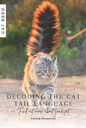 Decoding the Cat Tail Language: Find out more about your pet