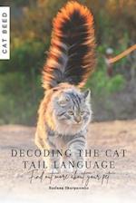 Decoding the Cat Tail Language: Find out more about your pet 