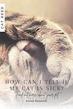 How can I tell if my cat is sick?: Find out more about your pet 