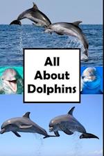 All About Dolphins 
