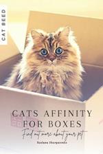Cats Affinity for Boxes: Find out more about your pet 
