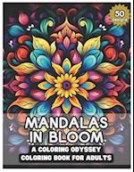 Mandalas in Bloom