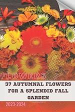 37 Autumnal Flowers for a Splendid Fall Garden: Become flowers expert 