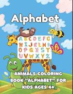 Alphabet