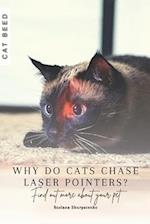 Why do cats chase laser pointers?