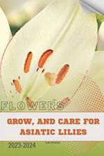 Grow, and Care for Asiatic Lilies