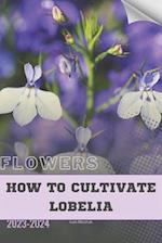 How to Cultivate Lobelia