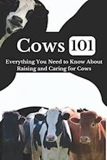 Cow Care 101