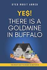 Yes! There is a Goldmine in Buffalo