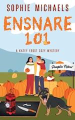 Ensnare 101