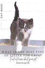 What is the best type of litter for cats?