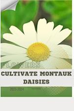Cultivate Montauk Daisies