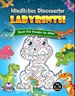 Niedliches Dinosaurier-Labyrinthbuch für Kinder im Alter von 6-12 Jahren