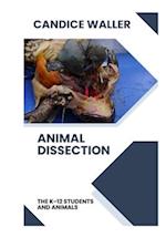 Animal Dissection