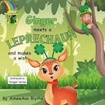 Ginger Meets a Leprechaun and makes a wish