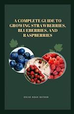 A Complete Guide to Growing Strawberries, Blueberries, and Raspberries