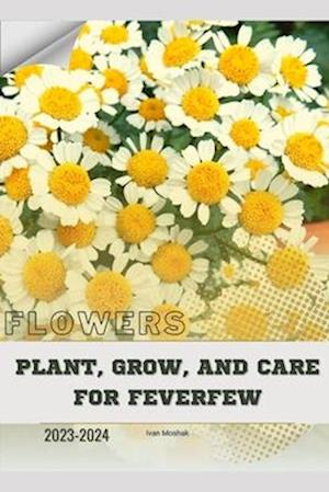 Plant, Grow, and Care for Feverfew