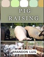 Pig Raising for Beginners