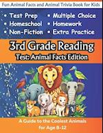 3rd Grade Reading Test