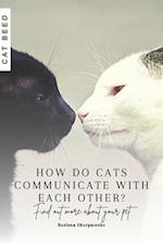 How do cats communicate with each other?