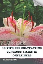 13 Tips For Cultivating Gorgeous Lilies in Containers