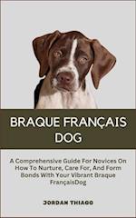 Braque Français Dog