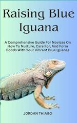 Raising Blue Iguana