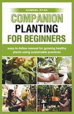 companion planting for beginners