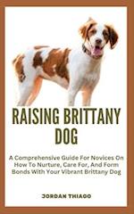 Raising Brittany Dog