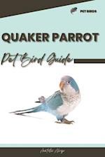 Quaker Parrot