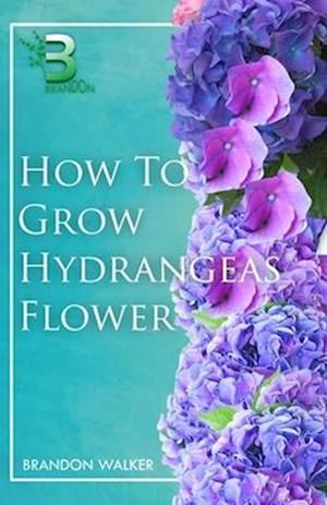 How to Grow Hydrangeas Flower