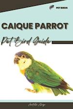 Caique Parrot