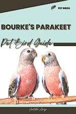 Bourke's Parakeet