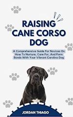 Raising Cane Corso Dog