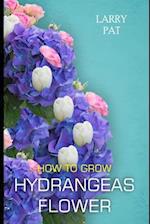 How to Grow Hydrangeas Flower