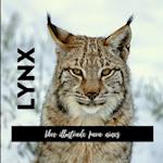 Lynx