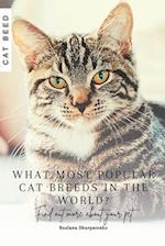 What most popular cat breeds in the world?