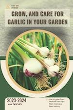 Grow, and Care For Garlic in Your Garden
