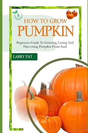 How to Grow Pumpkin