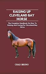 Raising Up Cleveland Bay Horse