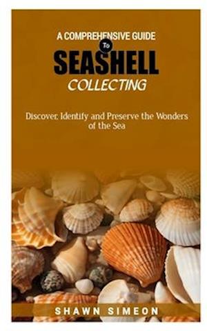 A Comprehensive Guide to Seashell Collecting