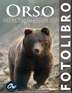 Orso