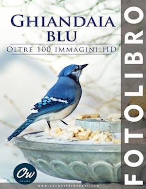 Ghiandaia blu