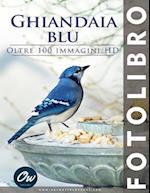 Ghiandaia blu