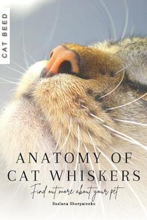 Anatomy of Cat Whiskers