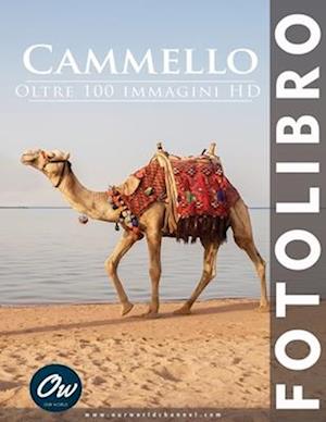 Cammello