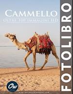 Cammello